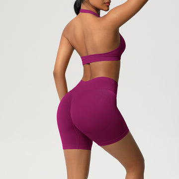 Seamless Knitted High Waist Peach Hip Yoga Shorts Neck Bra Fitness Set